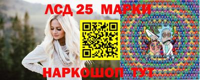 гидропоника Будённовск