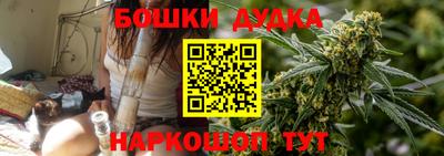 гидропоника Будённовск