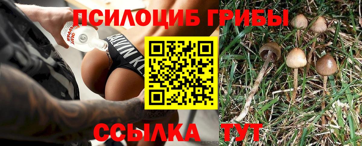 Кореновск  Псилоцибиновые грибы Magic Shrooms  Вход с VPN 